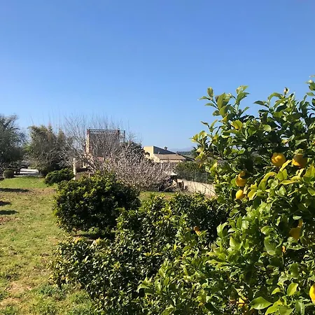 Son Roig ,beautiful Place In The Heart Of Mallorca -etv 9979 *